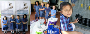 BSPCA-Schools Education Twitter header