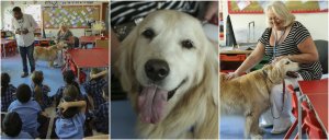 BSPCA school visits